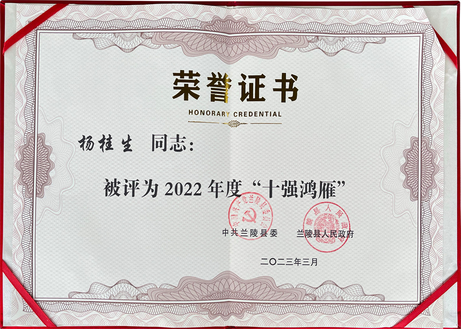 荣誉证书
