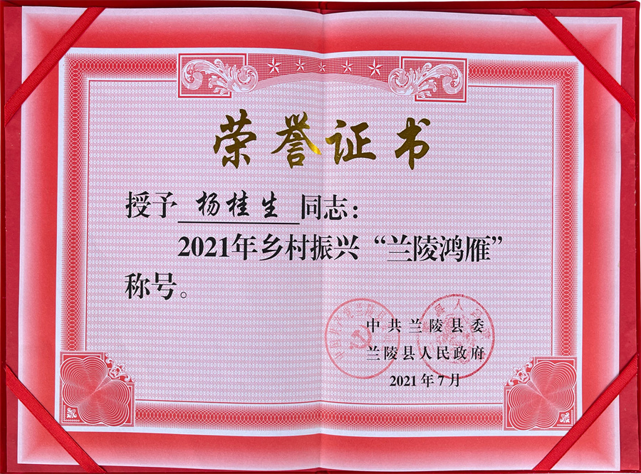 荣誉证书