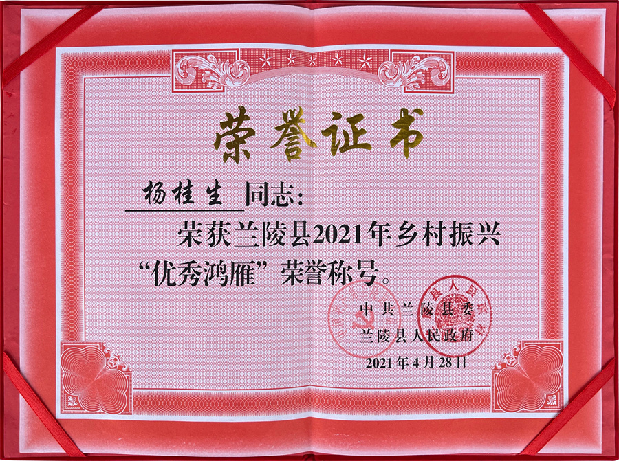 荣誉证书